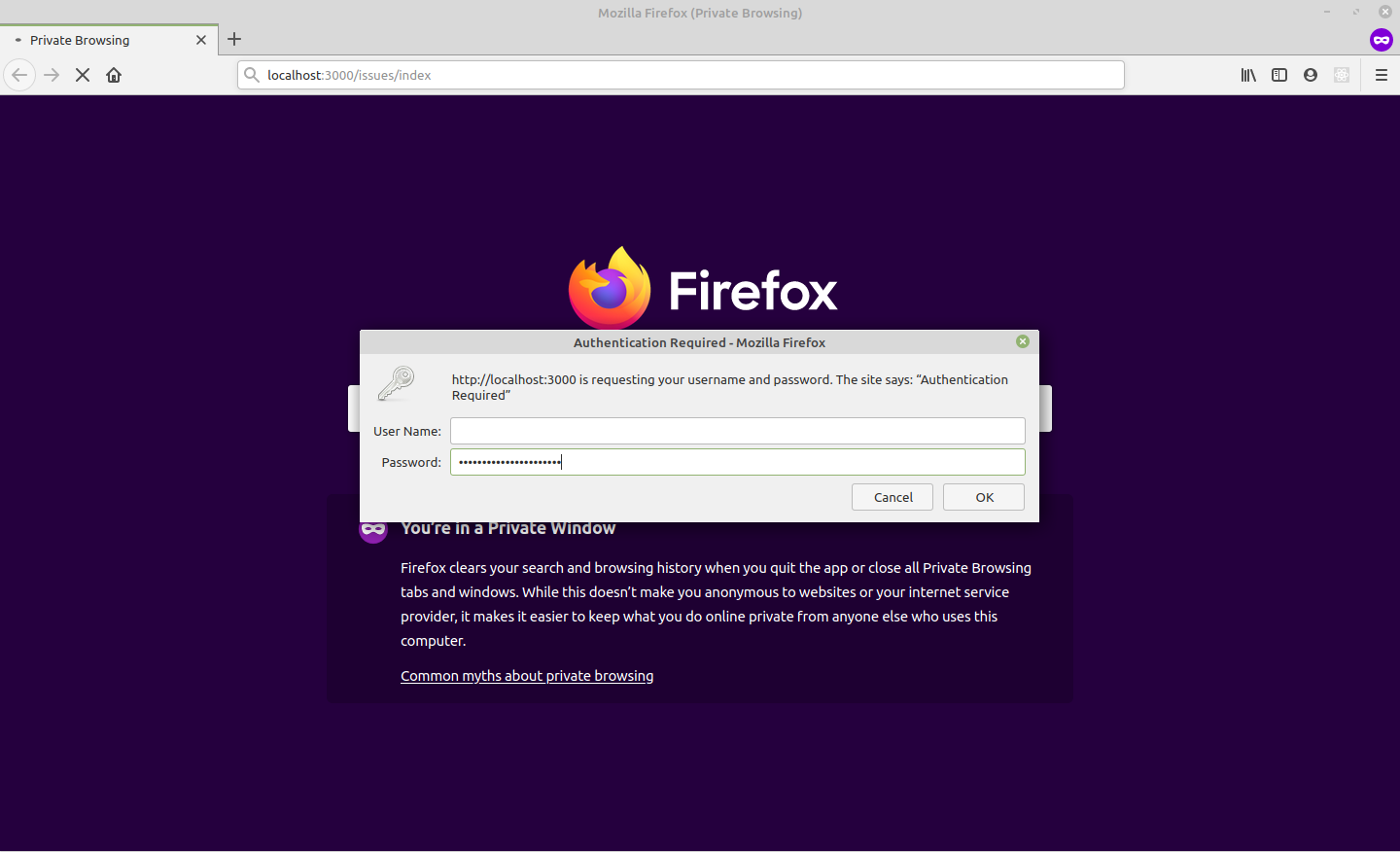 Login basic authentication prompt on Firefox image